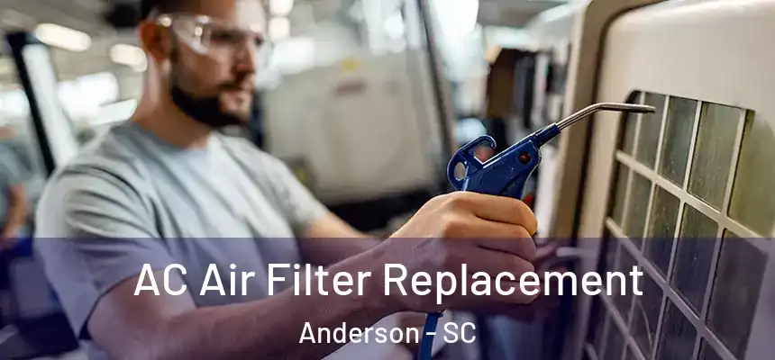 AC Air Filter Replacement Anderson - SC