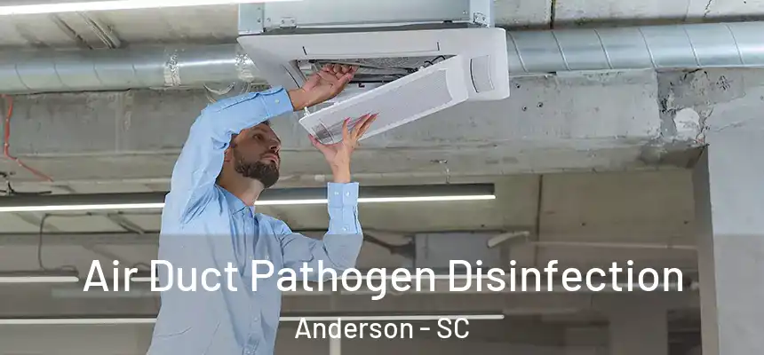Air Duct Pathogen Disinfection Anderson - SC