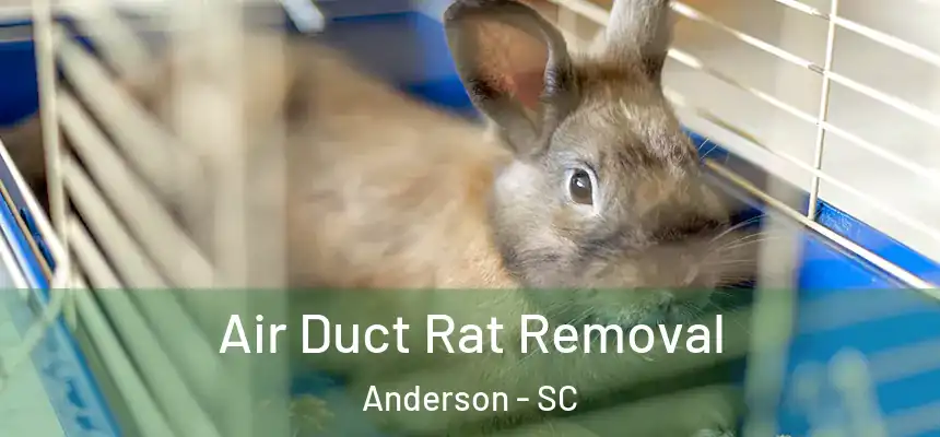 Air Duct Rat Removal Anderson - SC