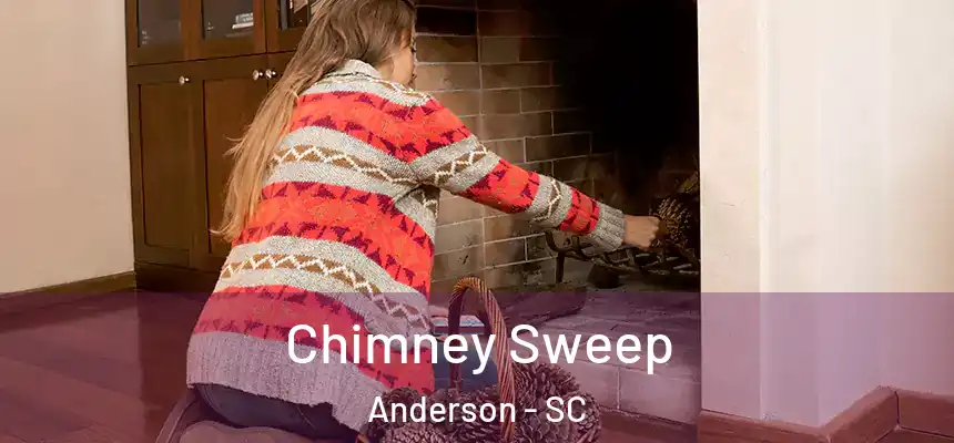  Chimney Sweep Anderson - SC