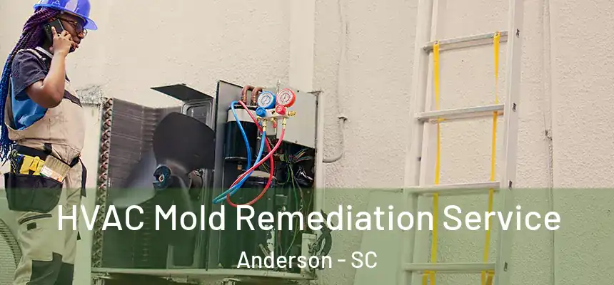  HVAC Mold Remediation Service Anderson - SC