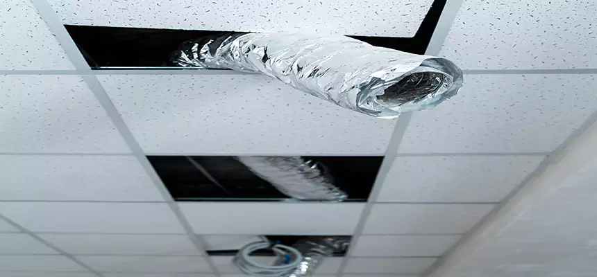 Affordable HVAC Sanitizing After Pest Removal in Anderson