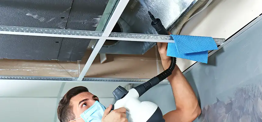 Our Air Duct Rodent Removal Services in Anderson, SC