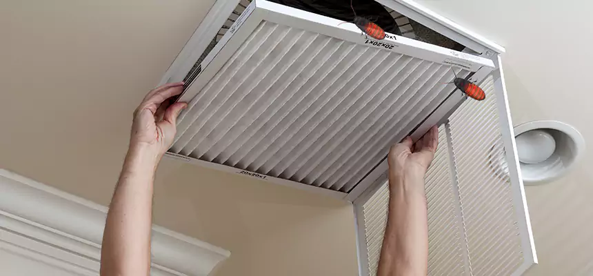 Our Insect Removal from Air Ducts Services in Anderson, SC