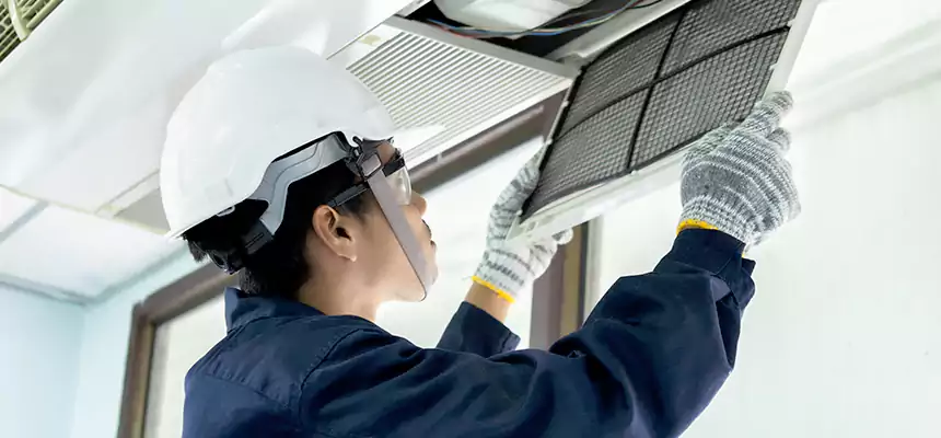 Our Mold & Mildew Removal from Air Ducts Services in Anderson, SC