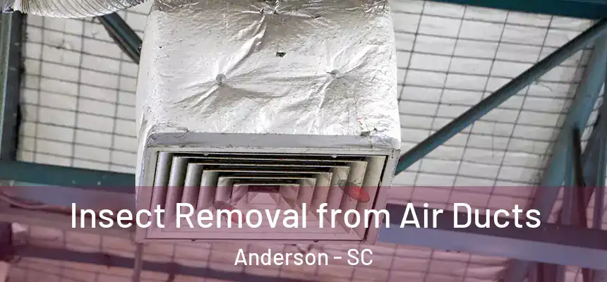 Insect Removal from Air Ducts Anderson - SC
