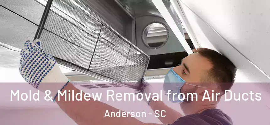  Mold & Mildew Removal from Air Ducts Anderson - SC