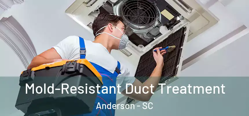  Mold-Resistant Duct Treatment Anderson - SC