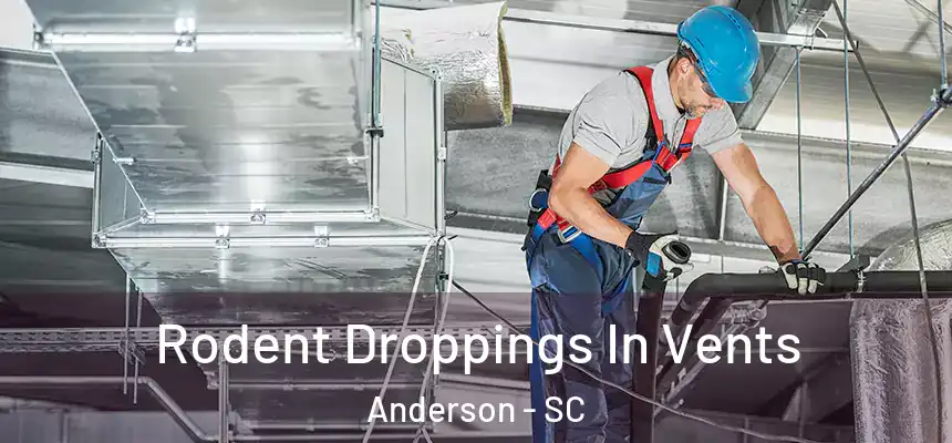 Rodent Droppings In Vents Anderson - SC