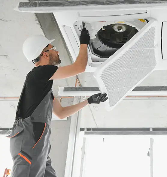 About Air Duct Rodent Removal in Anderson, SC