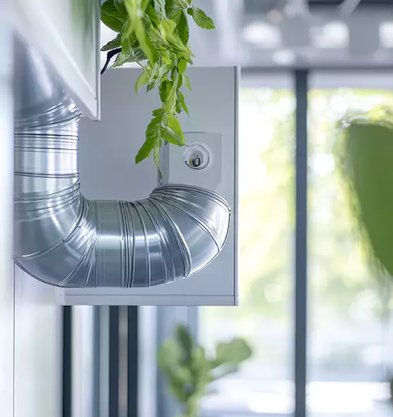 Professional Eco-Friendly Duct Cleaning Services in Anderson, SC