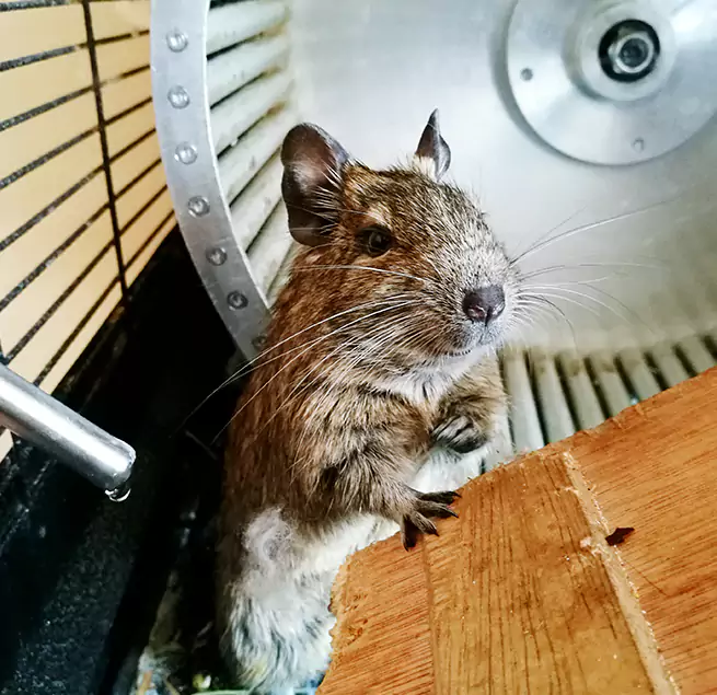 Why Homeowners & Businesses Trust Us Anderson, SC