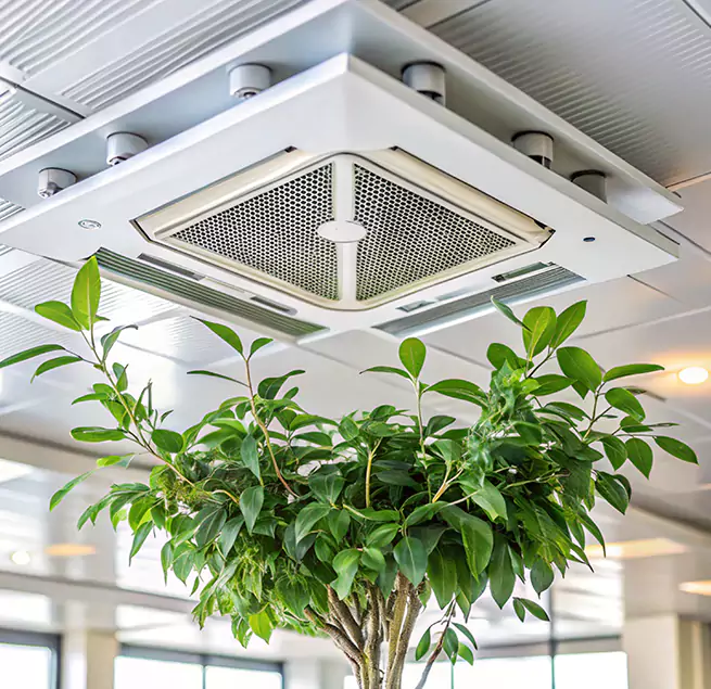 Why Homeowners & Businesses Trust Us in Anderson, SC