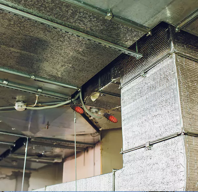 Why Homeowners & Businesses Trust Us Anderson, SC?