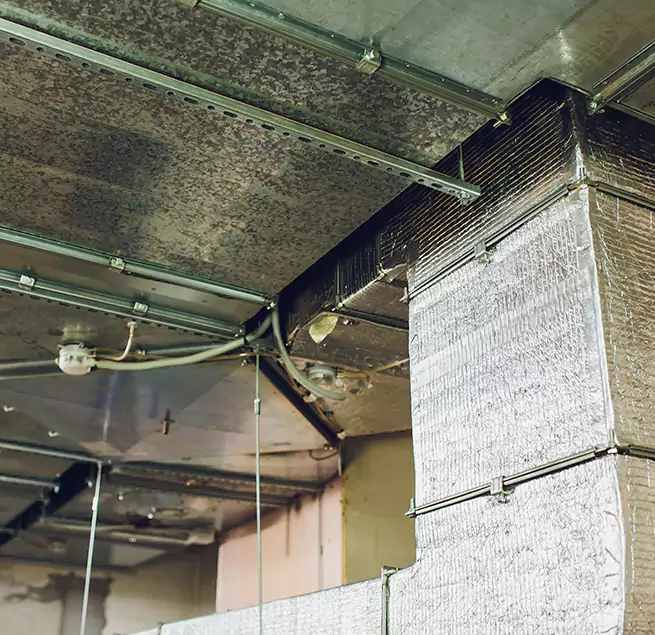 Why Homeowners & Businesses Trust Us in Anderson, SC?